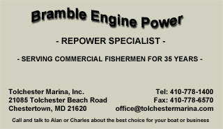 Bramble Engine Power - Repower Specialist